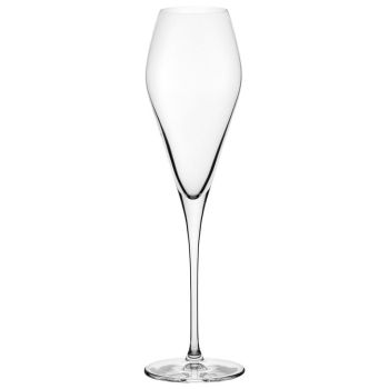 Lucenté Tulip Champagne Glasses