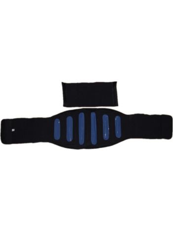 Hot and Cold Therapy Waist Brace Waist Back Support 