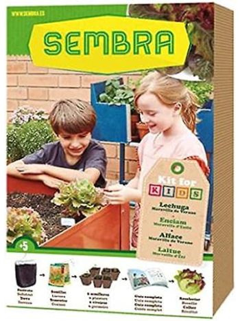 Sembra My First Planting Grow Your Own Lettuce Kit