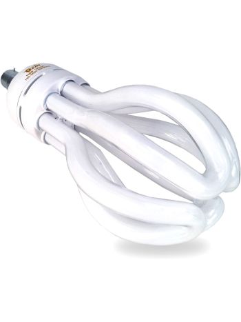 Energy Saver Spiral CFL Light Bulb