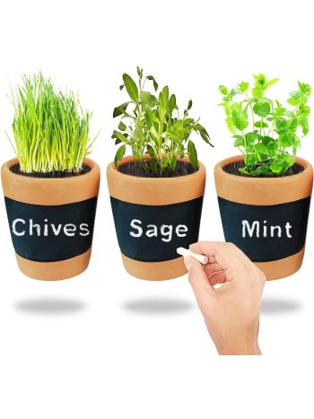 Pots Chalk Black Board Planting Seed Mint Sage