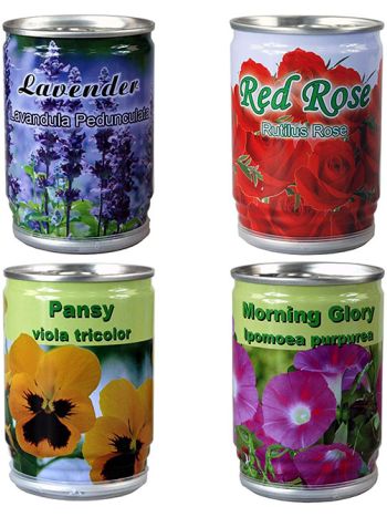 Plant in a Tin Grow Your Own Flowers Floral Arrangements